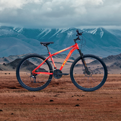 CROW - FIRE STORM  21 Speed Gear Cycle | 29" T Cycle for Boys 12 to 15 Years | Bicycle for Men Adult | Mountain Bike with Front Suspension & Dual Disc Brakes| Unisex 29 INCH MTB Cycle for Men