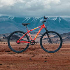 CROW - FIRE STORM  Single Speed Cycle | 29T Cycle for Boys 12 to 15 Years | Bicycle for Men Adult | Mountain Bike with Front Suspension & Dual Disc Brakes| Unisex 29 INCH MTB